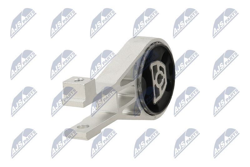 Paigutus, Mootor, NTY ZPS-PL-002