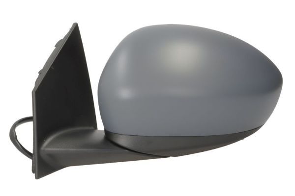 BLIC 5402-07-2590310P Exterior Mirror