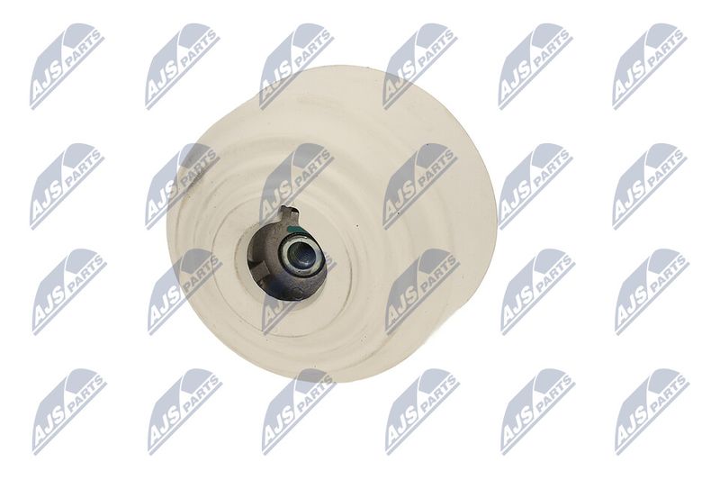 Paigutus, Mootor, NTY ZPS-ME-090