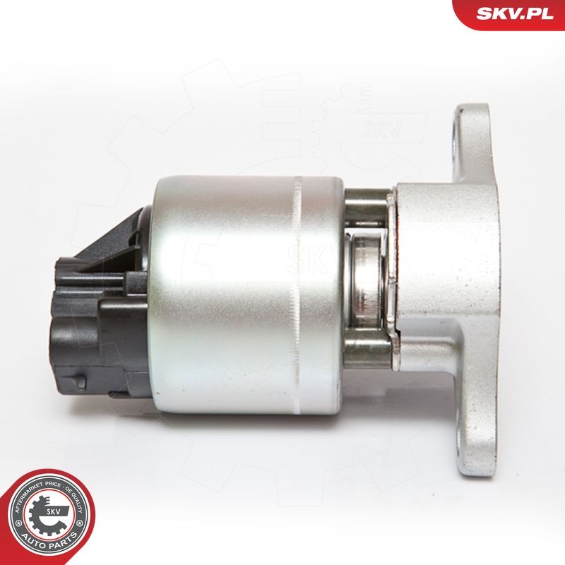 EGR-klapp, ESEN SKV 14SKV056