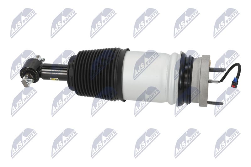 Amort, NTY A-CH-098
