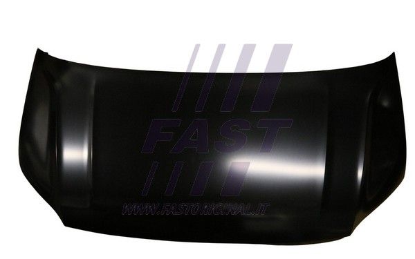 FT89006_1_1.JPG