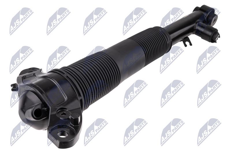 Amort, NTY A-LR-037