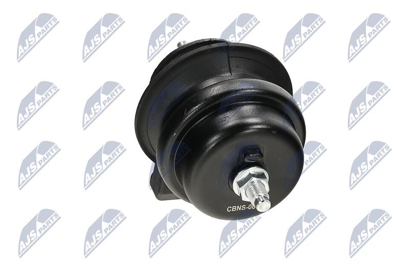 Paigutus, Mootor, NTY ZPS-NS-065