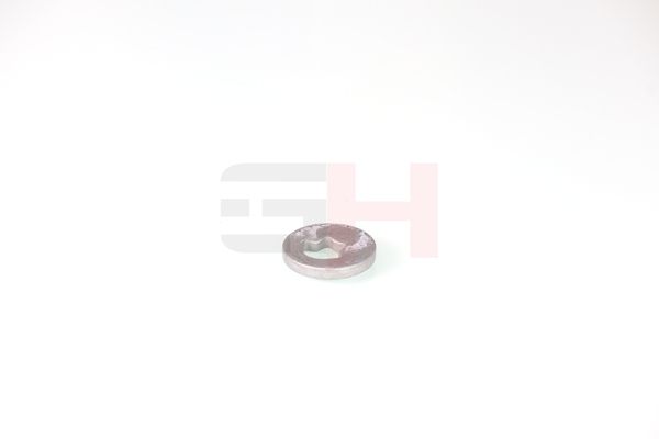 caster shim, sillatala, GH GH-391582
