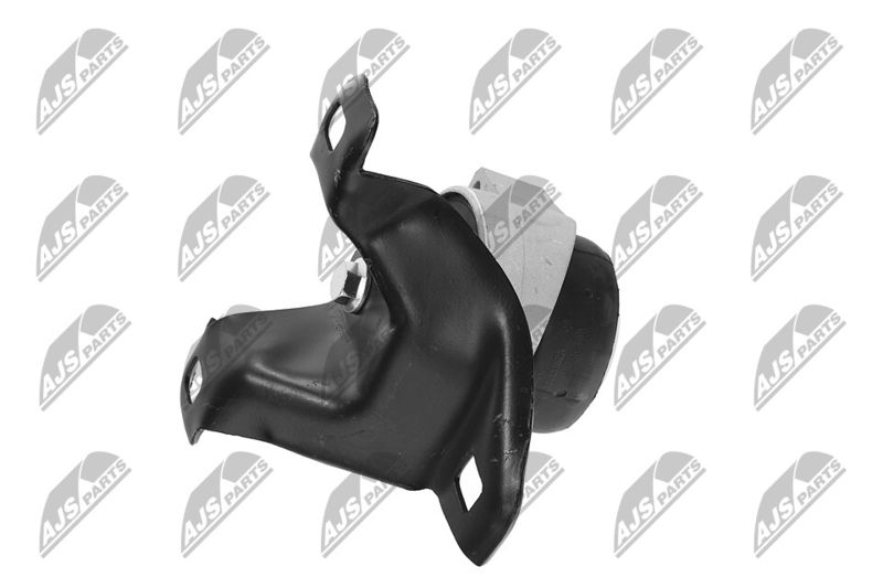 Paigutus, Mootor, NTY ZPS-FR-011