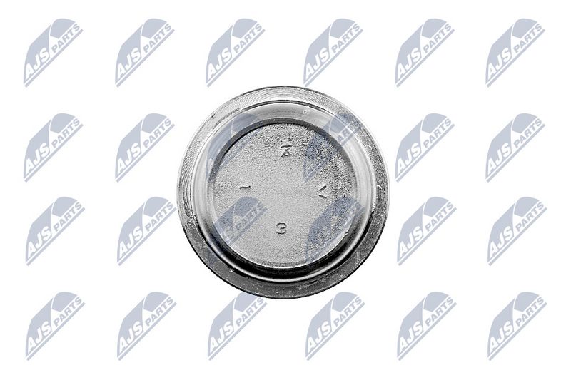 Kande-, juhtliigend, NTY ZSD-MZ-023