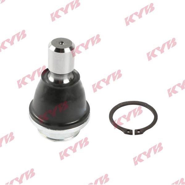 KYB-KBJ4471.JPG