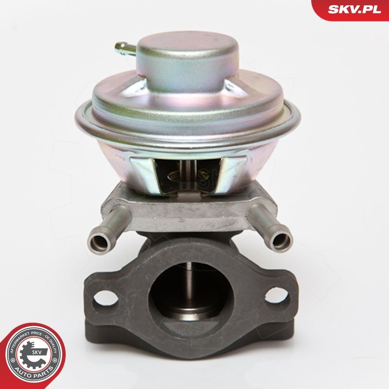 EGR-klapp, ESEN SKV 14SKV062