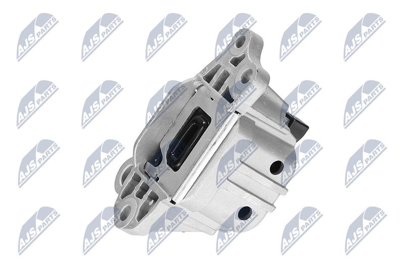 Paigutus, Mootor, NTY ZPS-CH-127