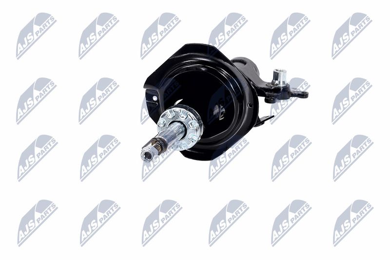 Amort, NTY A-NS-015