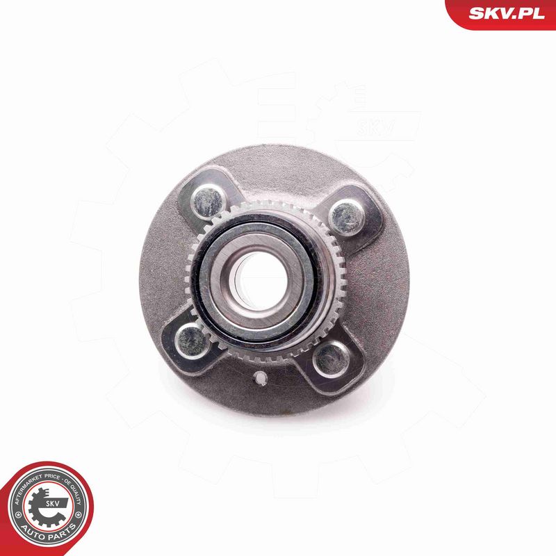 ESEN SKV 29SKV089 Rato guolio komplektas