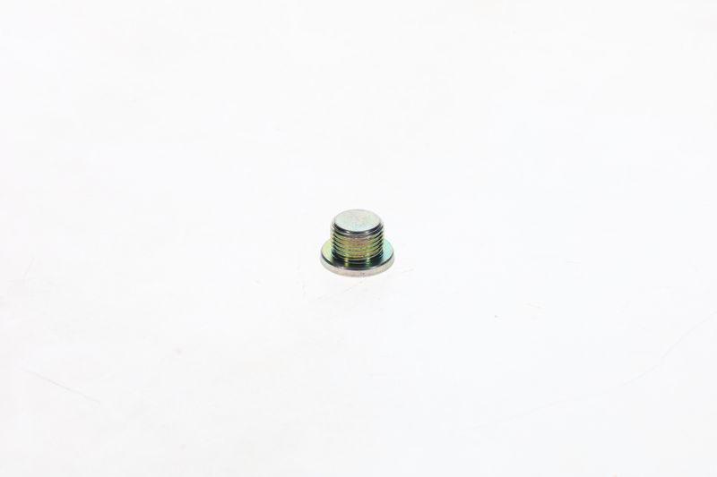 Surub F 002 D13 566 BOSCH