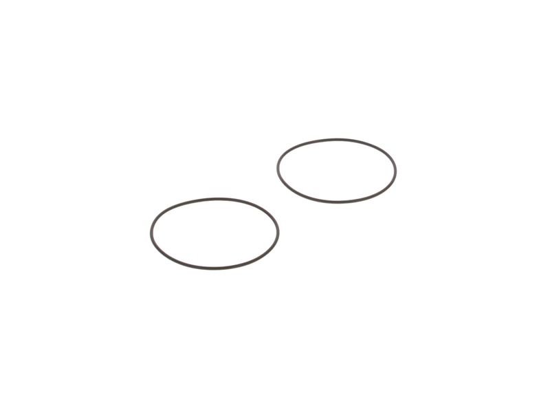 BOSCH 3130210005 Seal