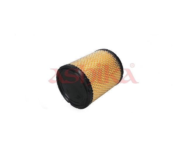 ASHIKA 20-00-009 Oro filtras