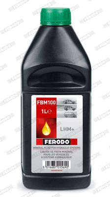 FBM100_118531.JPG