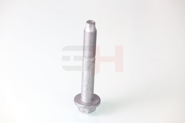 Kruvi, õõtshoob, GH GH-391906