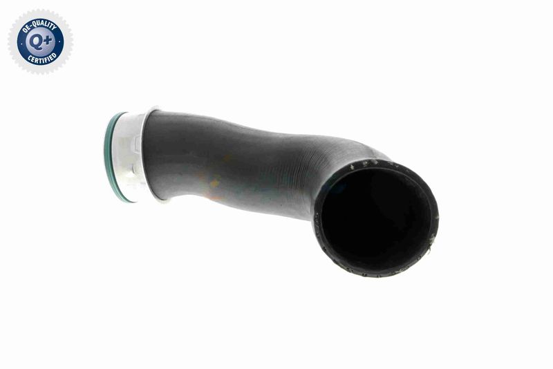 VAICO V10-3816 Charge Air Hose
