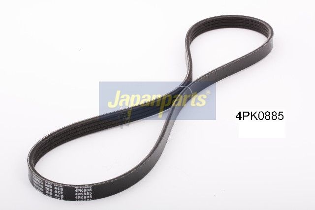 Correa trapecial poli V