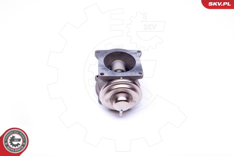 ESEN SKV 14SKV108 EGR Valve