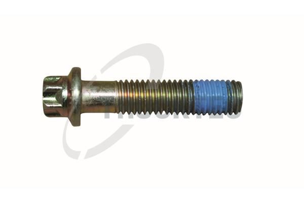 TRUCKTEC AUTOMOTIVE 01.67.154 - Screw, pressure plate