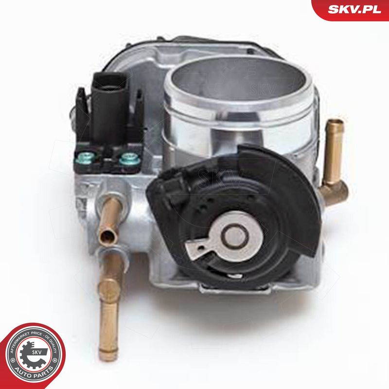 ESEN SKV 12SKV009 Throttle Body