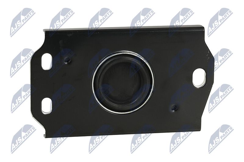 Paigutus, Mootor, NTY ZPS-PL-087