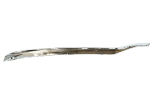 BLIC 5703-05-3529929P Trim/Protection Strip, bumper