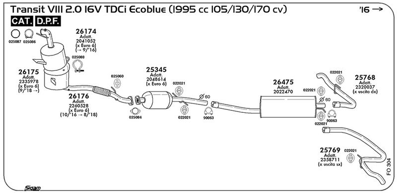 fo304_1.JPG