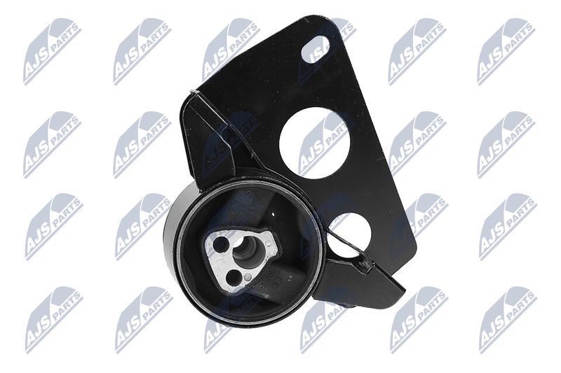 Paigutus, Mootor, NTY ZPS-DW-007