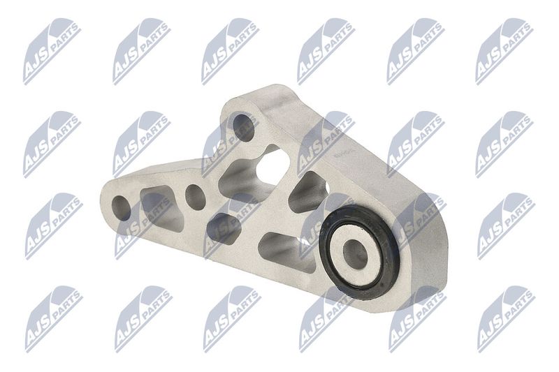 Paigutus, Mootor, NTY ZPS-CH-119