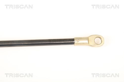 TRIS87109004_3.JPG