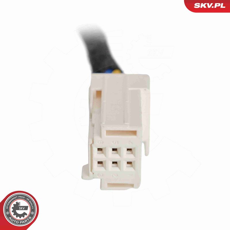 ESEN SKV 52SKV884 Electric Motor, tailgate