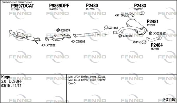 FO1107.JPG
