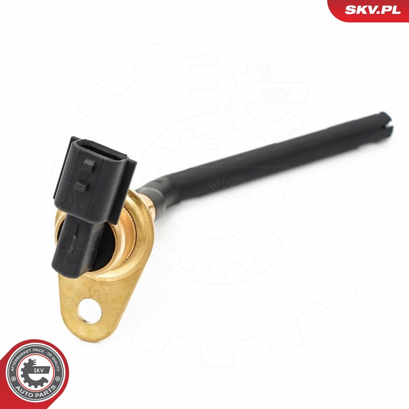 Andur, Mootoriõlitase, ESEN SKV 17SKV944