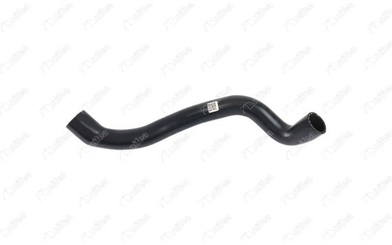 NIFEA 33172 - Radiator Hose
