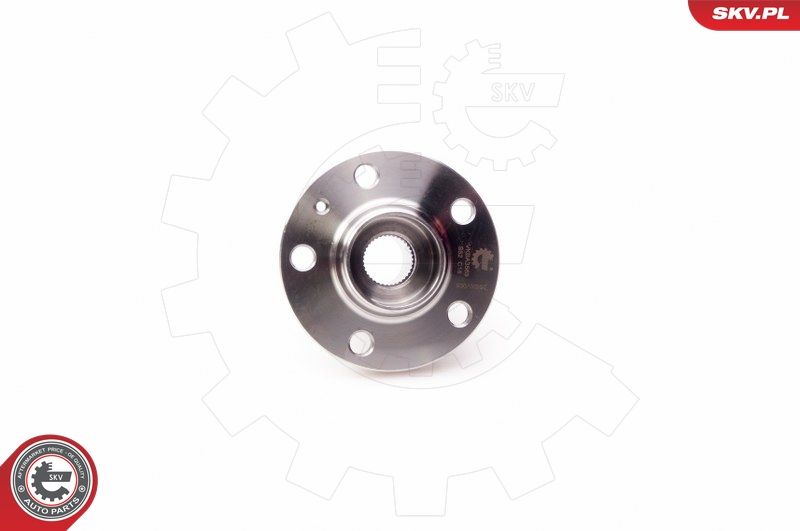 ESEN SKV 29SKV005 Wheel Bearing Kit