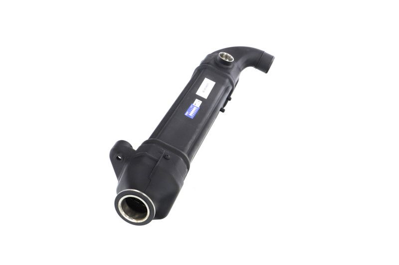 REMANTE 010-001-000025R EGR Module