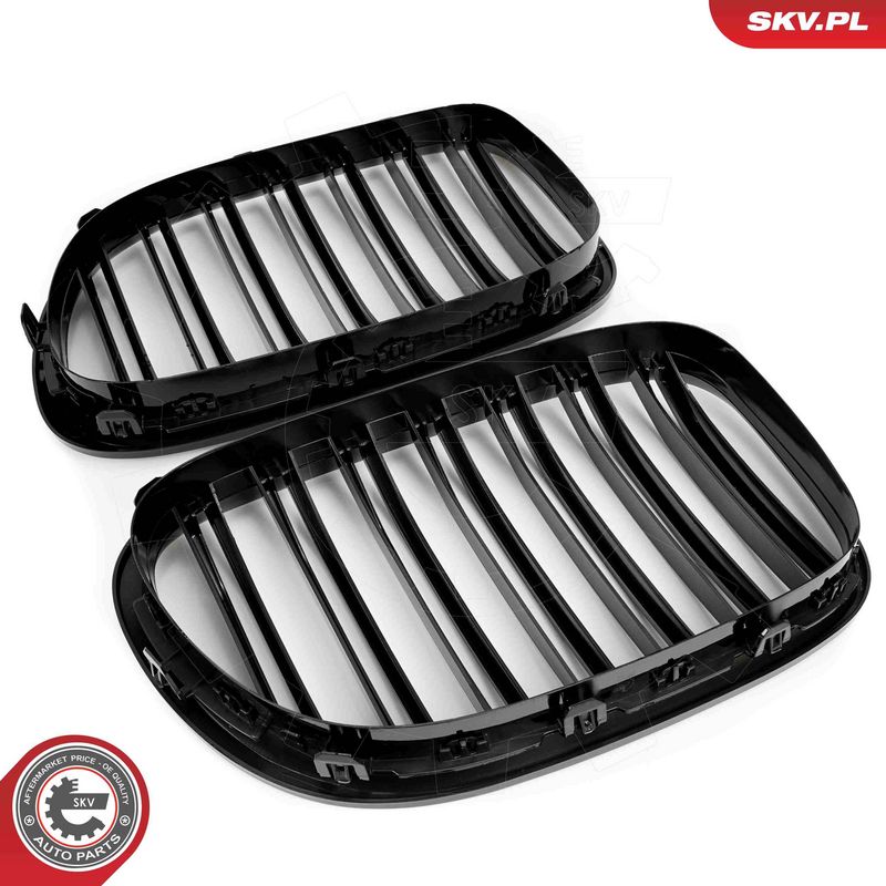 Radiaatorivõre, ESEN SKV 66SKV219