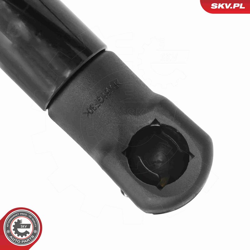 ESEN SKV 52SKV209 Electric Motor, tailgate