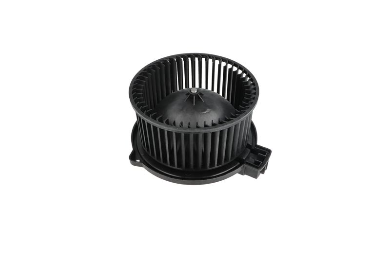 Salongipuhur, NRF 34331