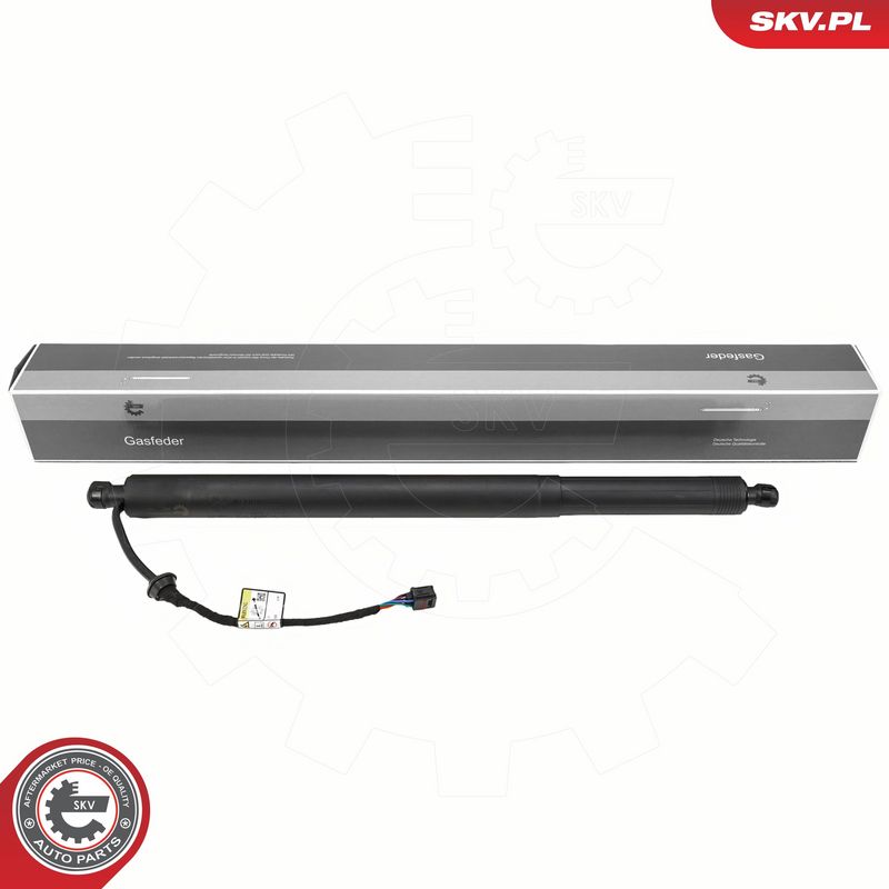 Elektrimootor, tagaluuk, ESEN SKV 52SKV213