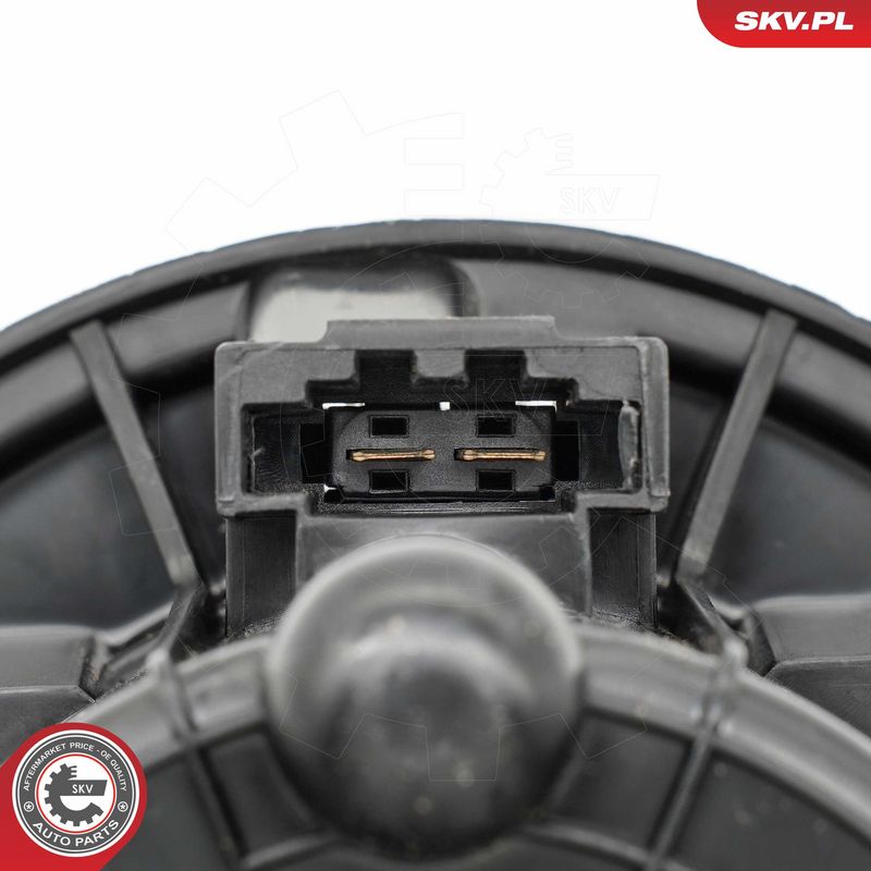 Salongipuhur, ESEN SKV...