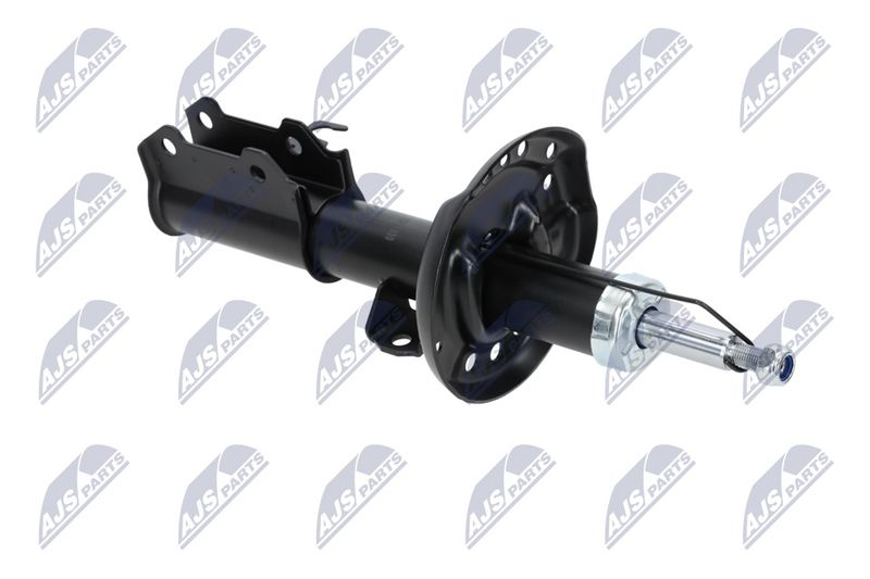 Amort, NTY A-PL-029