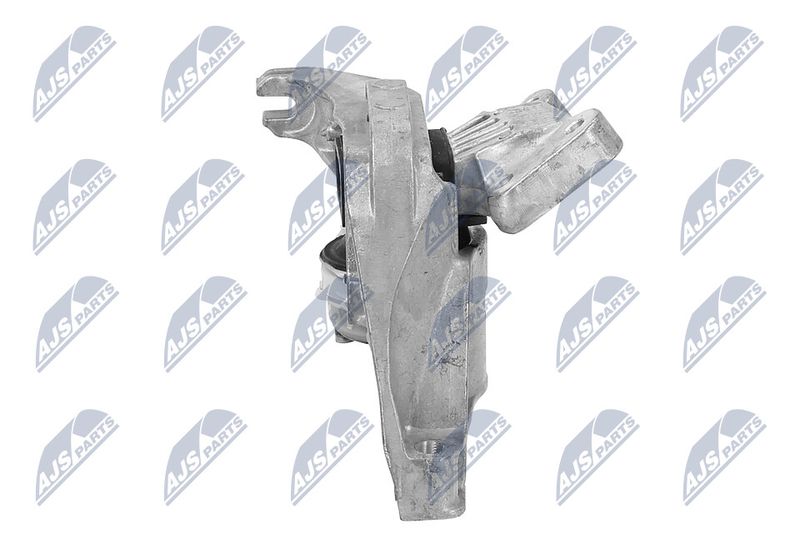 Paigutus, Mootor, NTY ZPS-PE-020