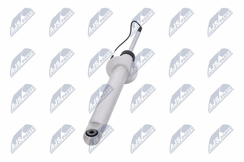 Amort, NTY A-MA-001