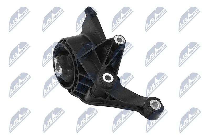 Paigutus, Mootor, NTY ZPS-PL-005