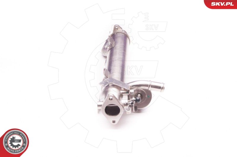 ESEN SKV 14SKV123 EGR Valve