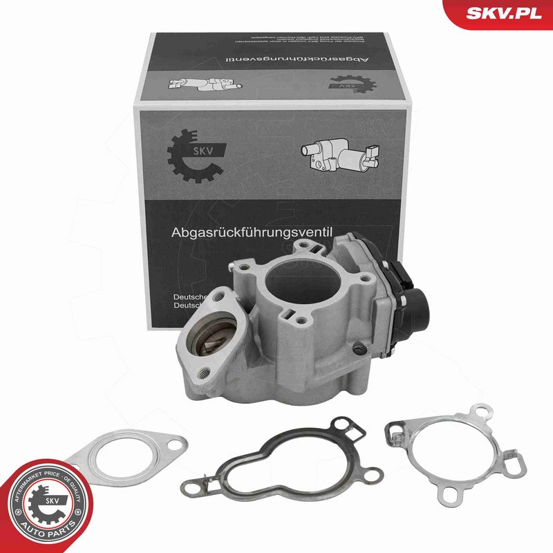 ESEN SKV 14SKV317 - EGR Valve