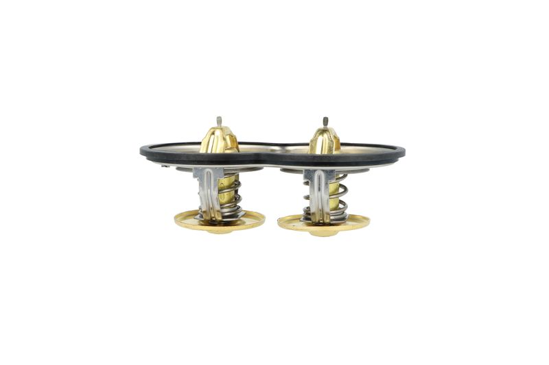 Termostat, chladivo 725374